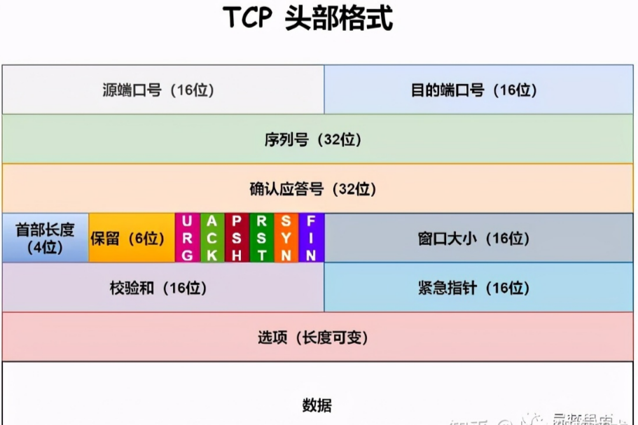 image-20230803225538927